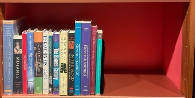 Shelf image