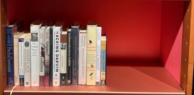 Shelf image