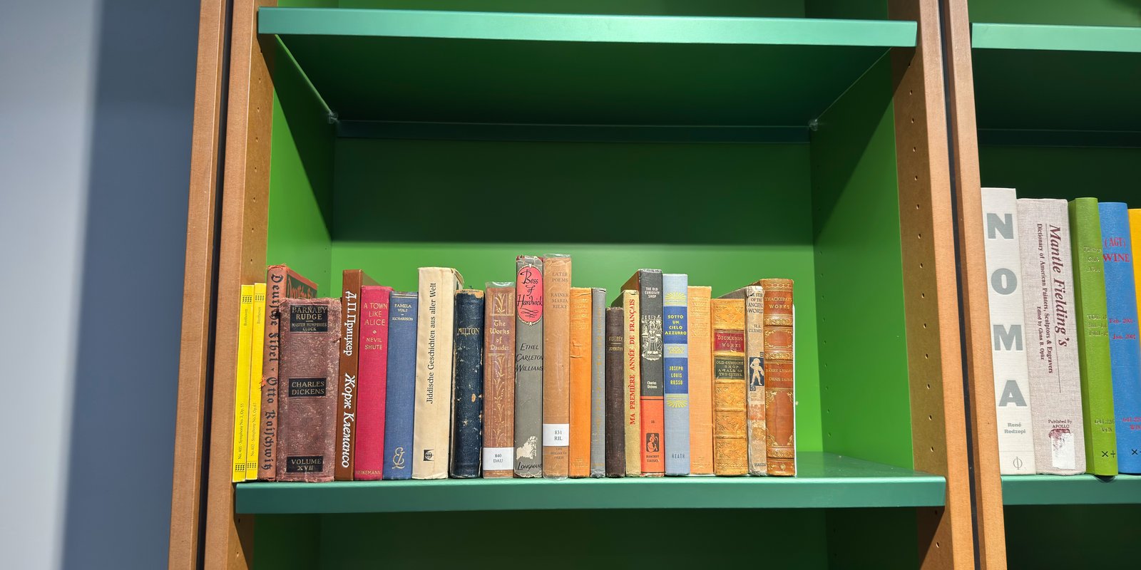 Shelfie Capture from Feb 10, 2026 12:27 PM