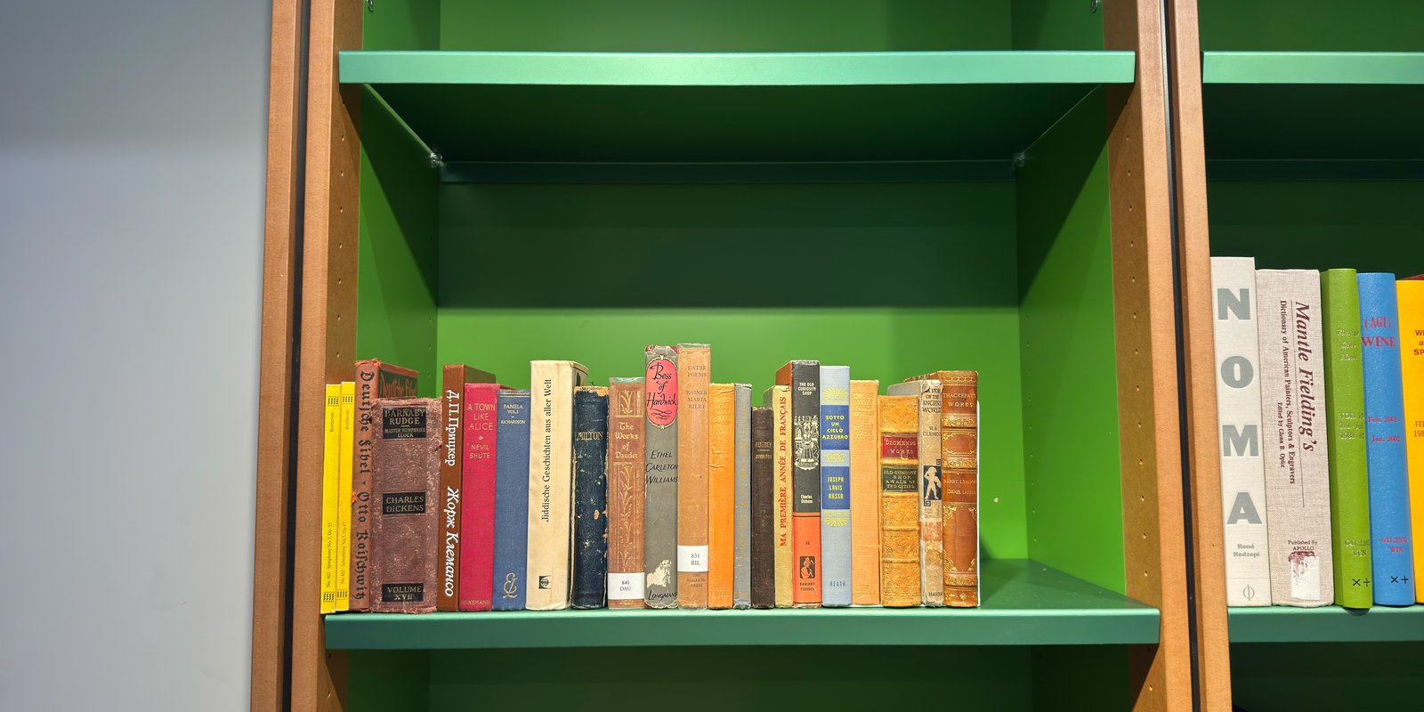 Shelfie Capture from Feb 19, 2026 2:52 PM