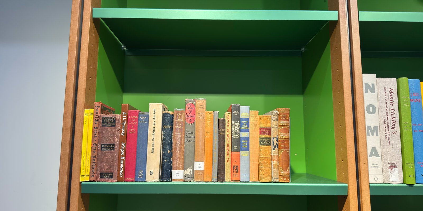 Shelfie Capture from Feb 19, 2026 3:16 PM