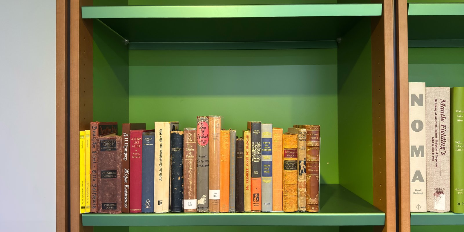 Shelfie Capture from Feb 24, 2026 3:55 PM