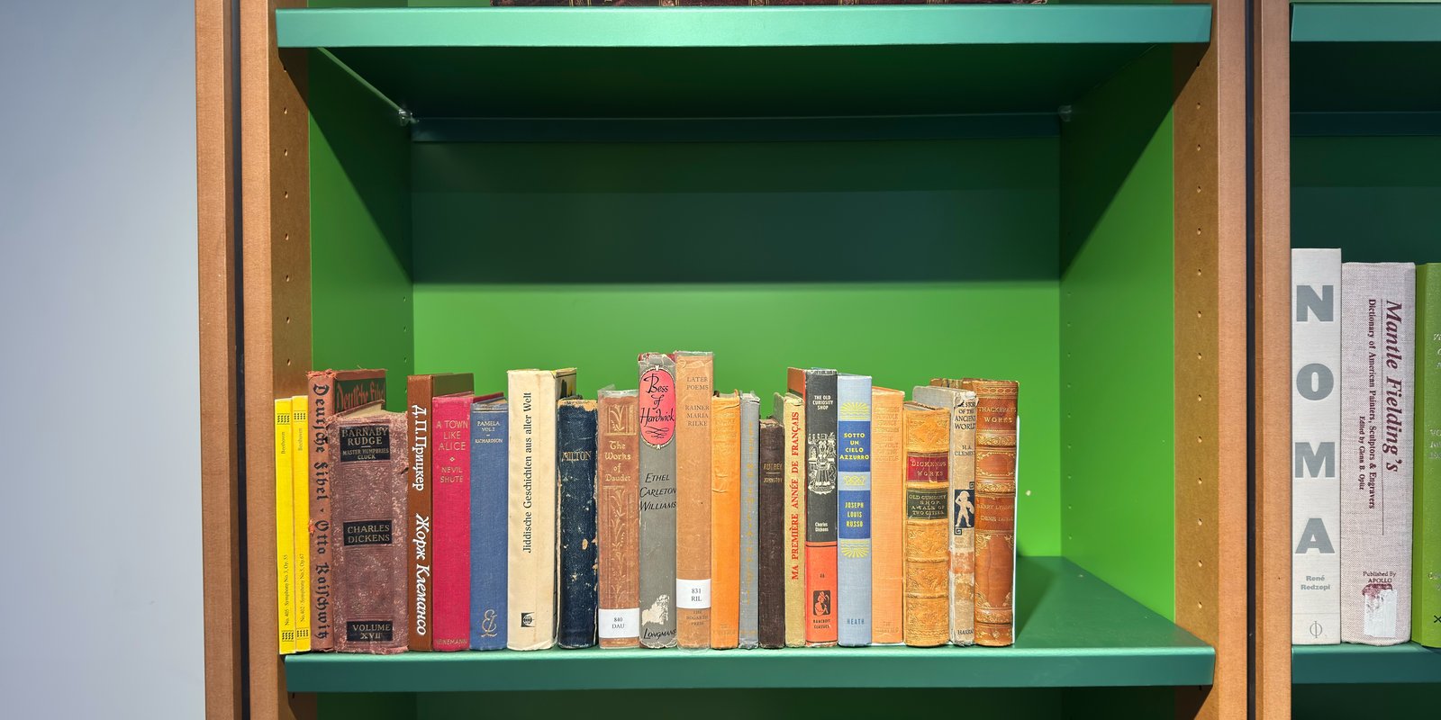 Shelfie Capture from Feb 25, 2026 6:18 PM