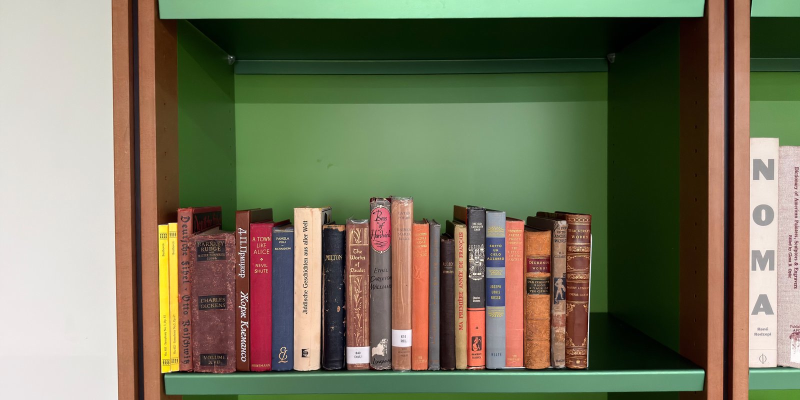 Shelfie Capture from Feb 25, 2026 6:30 PM