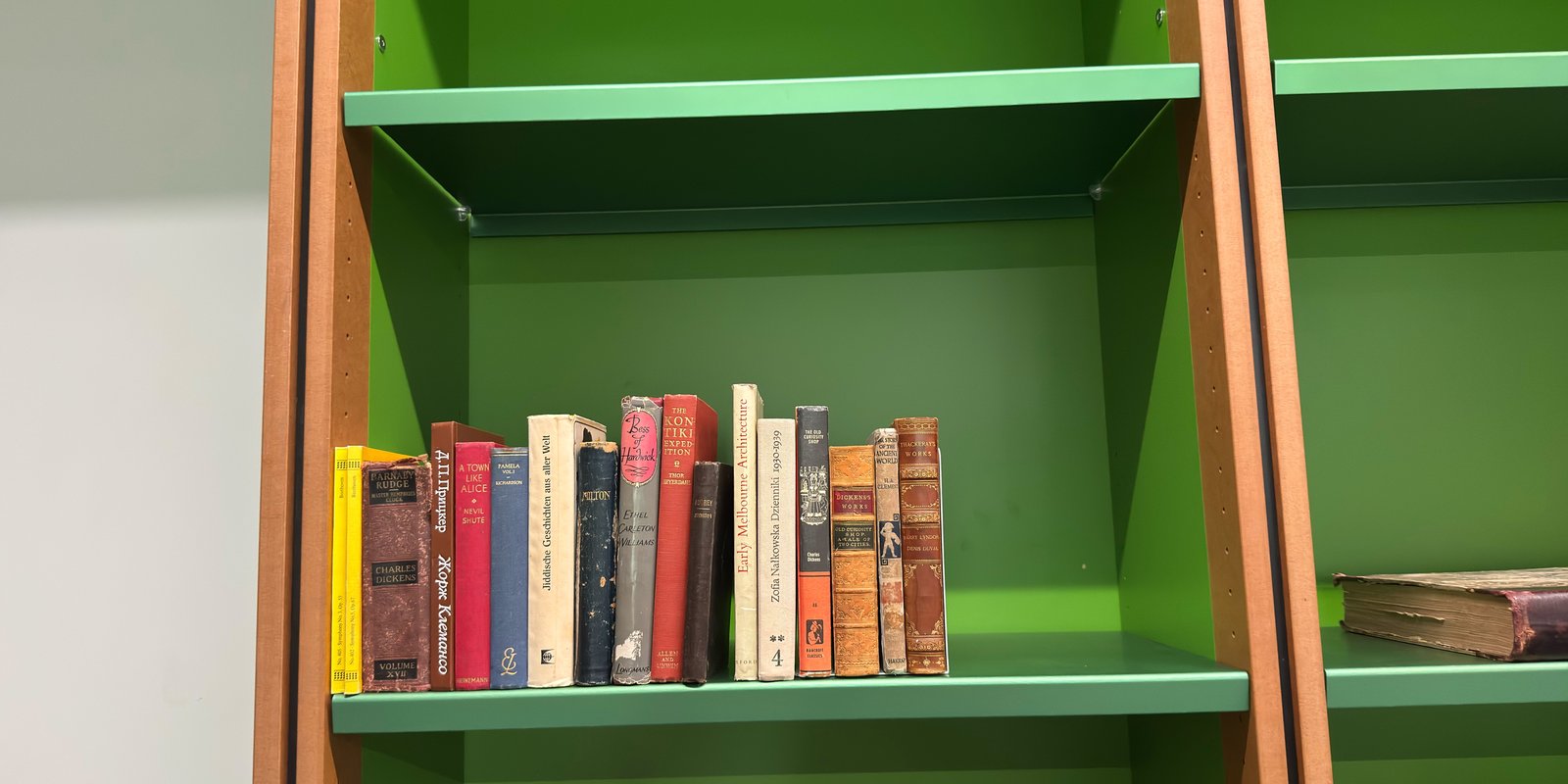 Shelfie Capture from Mar 17, 2026 10:45 AM