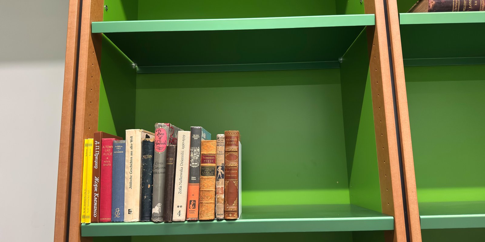 Shelfie Capture from Mar 19, 2026 12:08 PM