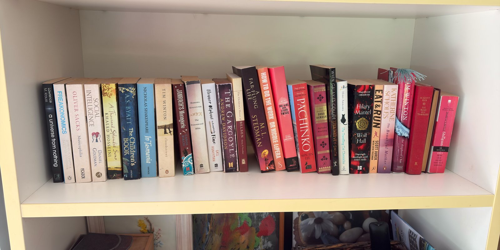 Shelfie Capture from May 5, 2026 1:44 PM