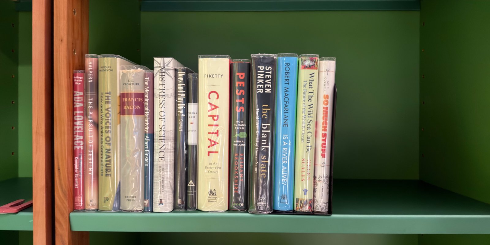 Shelfie Capture from May 11, 2026 11:08 AM