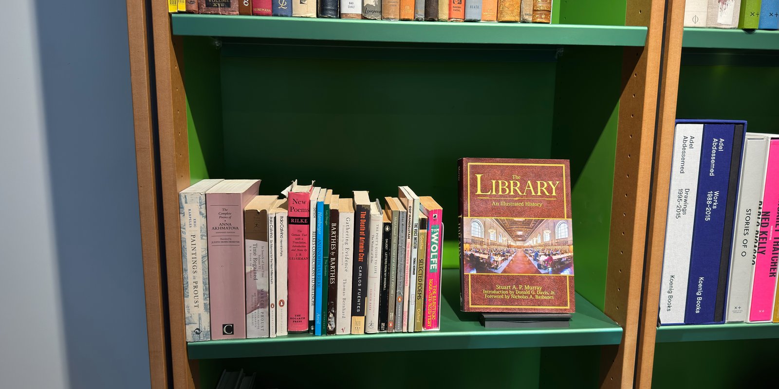 Shelfie Capture from Feb 10, 2026 5:02 PM