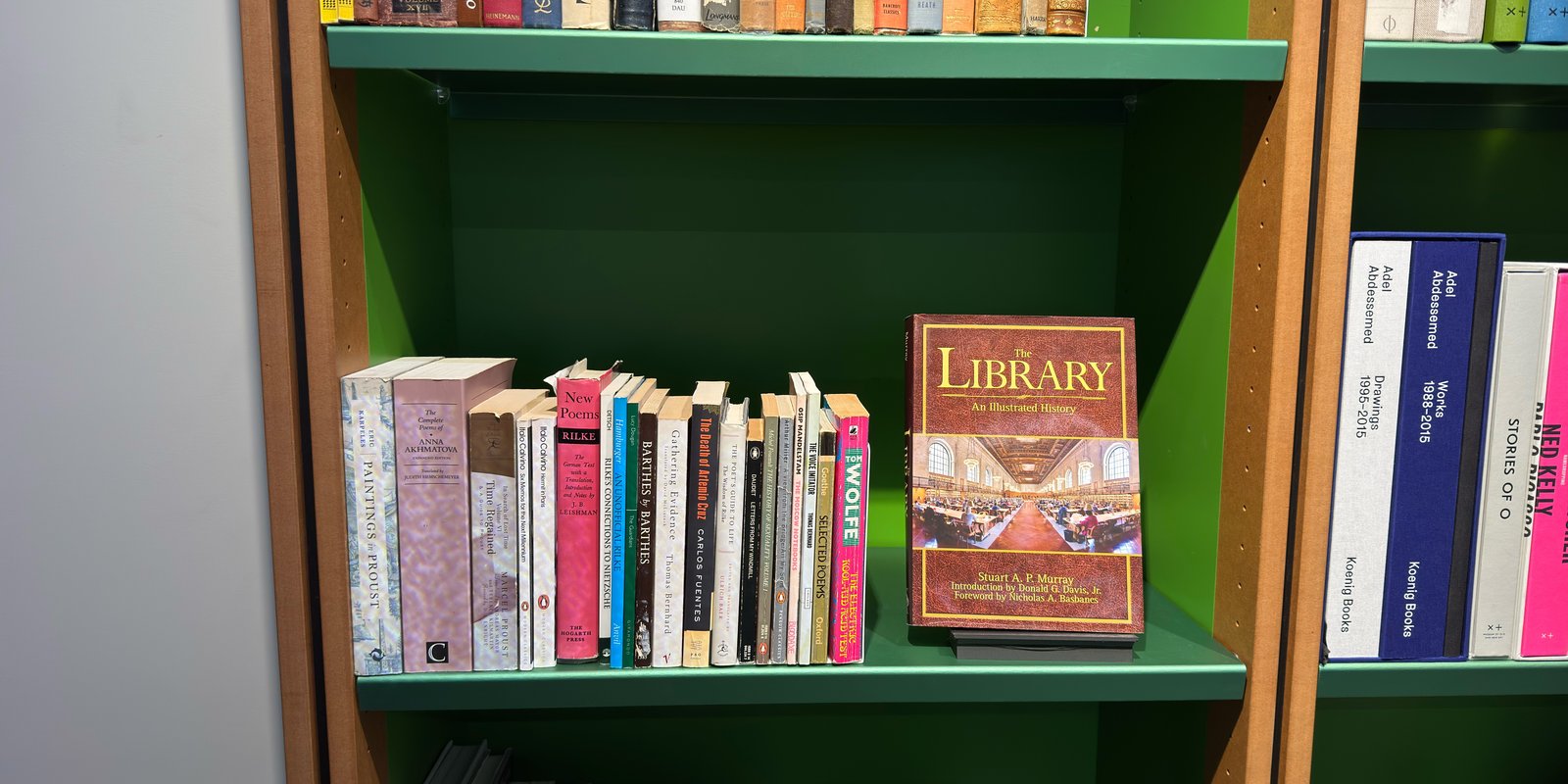 Shelfie Capture from Feb 19, 2026 2:52 PM