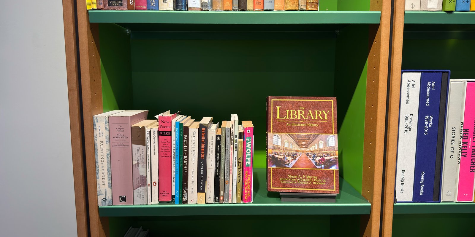 Shelfie Capture from Feb 19, 2026 3:16 PM