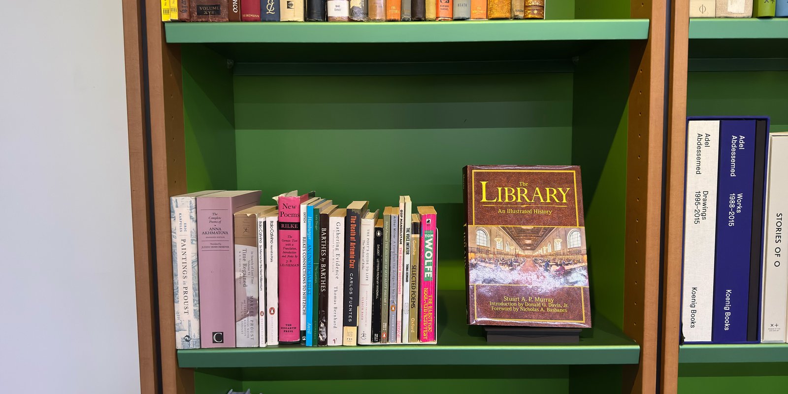 Shelfie Capture from Feb 24, 2026 3:56 PM