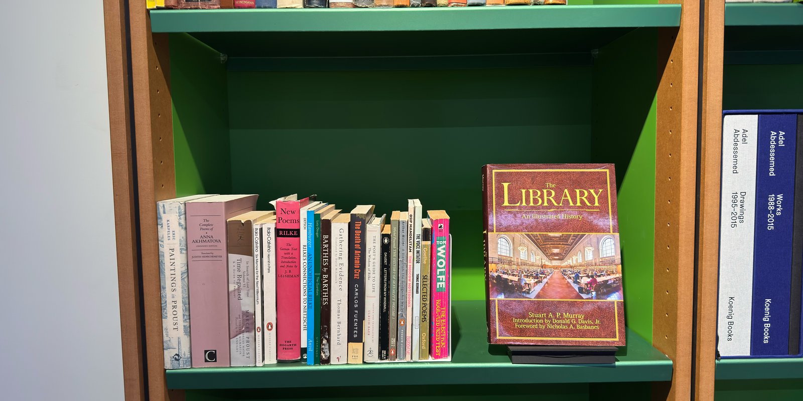 Shelfie Capture from Feb 25, 2026 6:18 PM