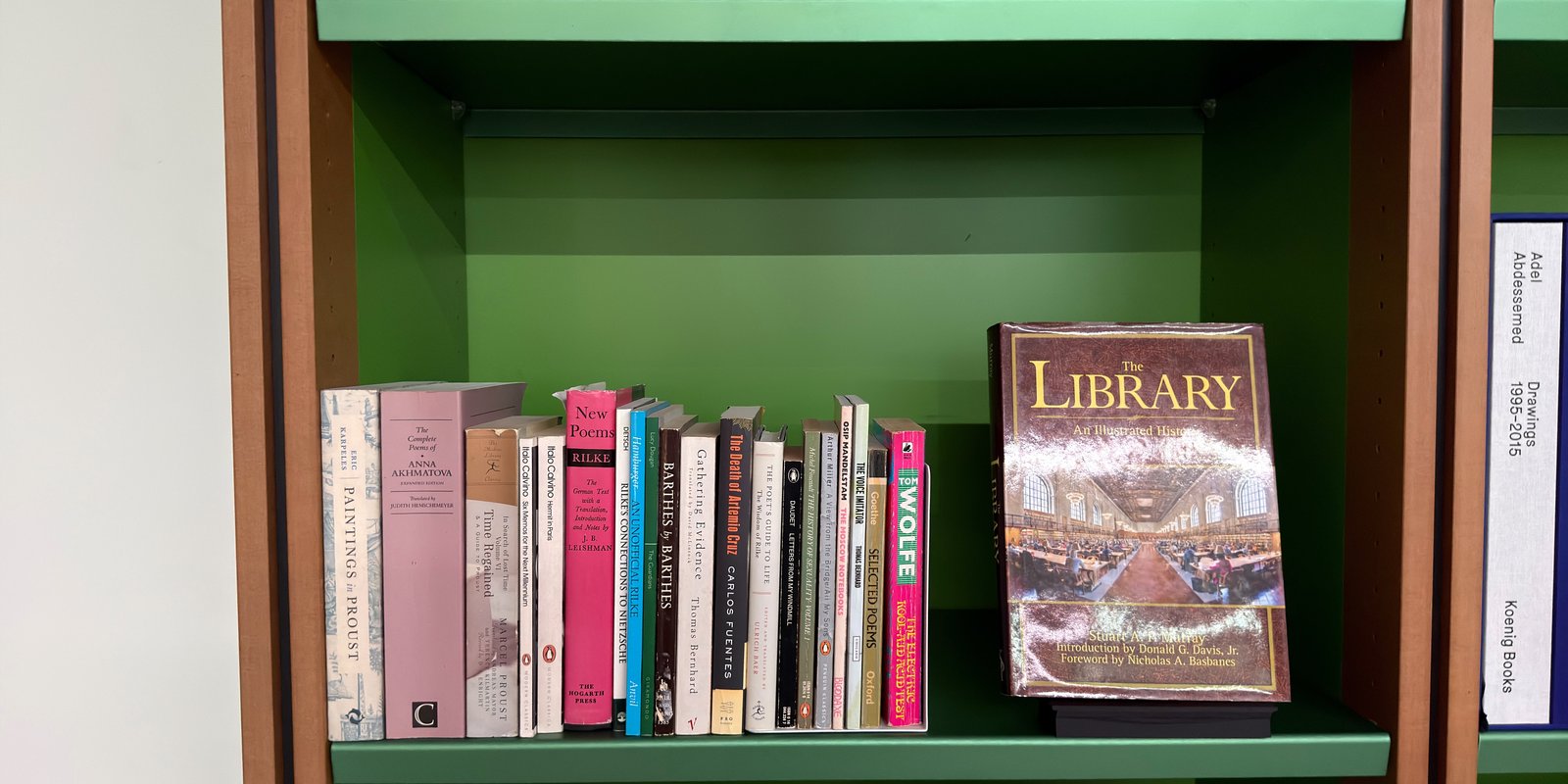 Shelfie Capture from Feb 25, 2026 6:30 PM