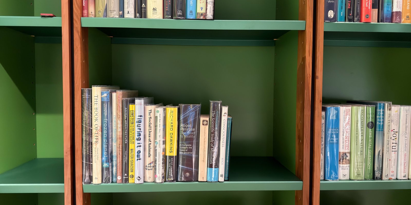 Shelfie Capture from May 11, 2026 11:08 AM