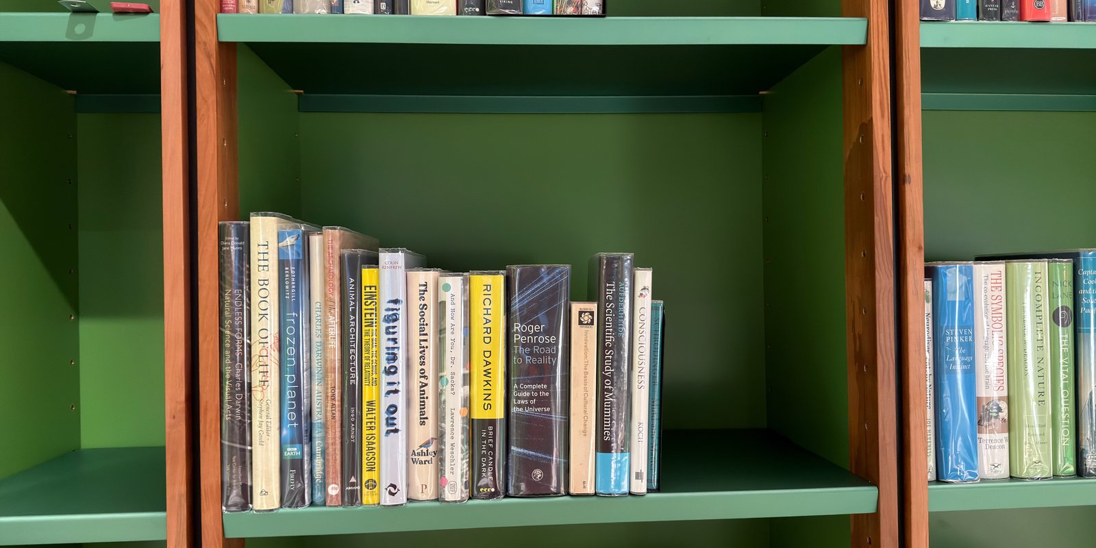 Shelfie Capture from May 11, 2026 11:24 AM