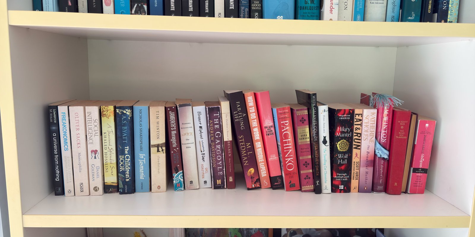 Shelfie Capture from May 5, 2026 1:47 PM