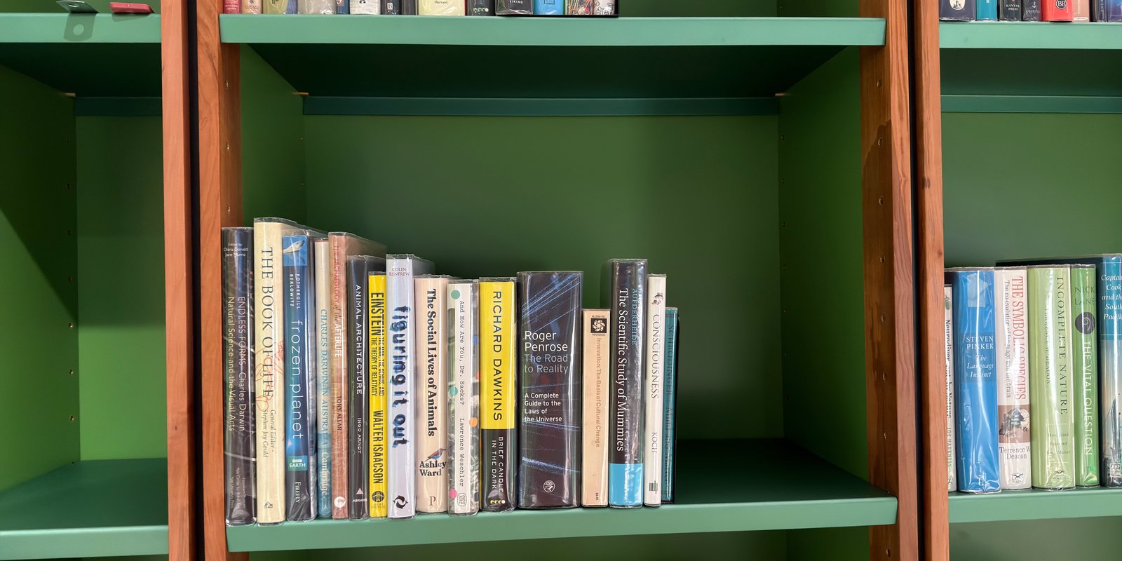 Shelfie Capture from May 11, 2026 11:24 AM