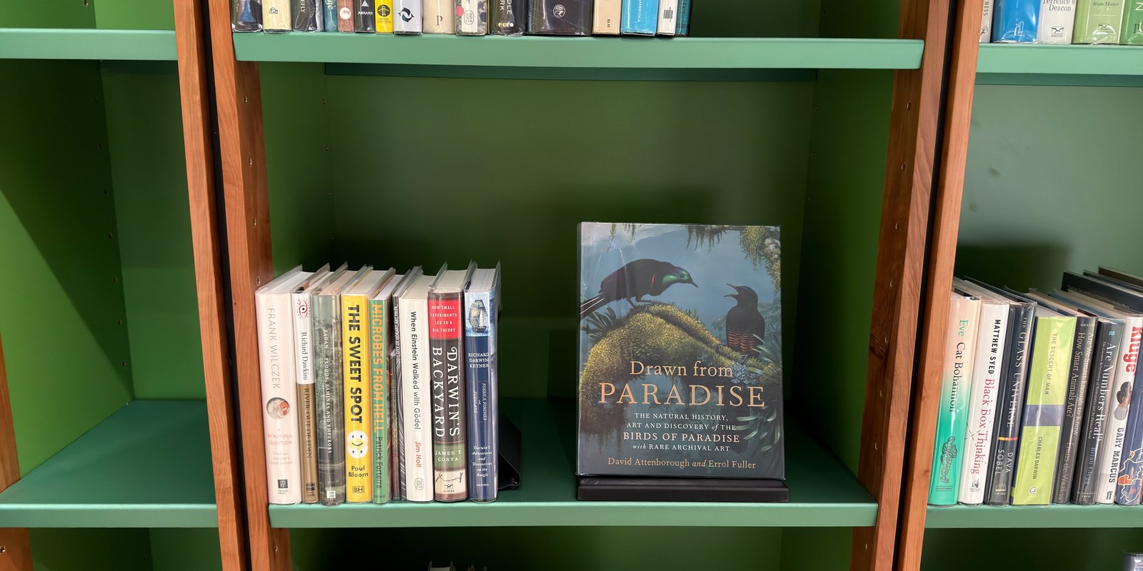 Shelfie Capture from May 11, 2026 11:25 AM