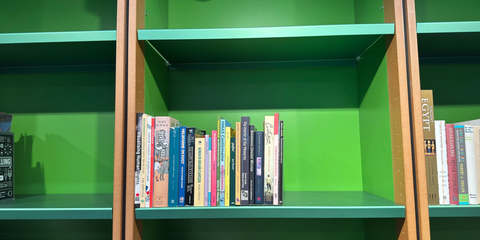 Shelfie Capture from Feb 19, 2026 2:55 PM