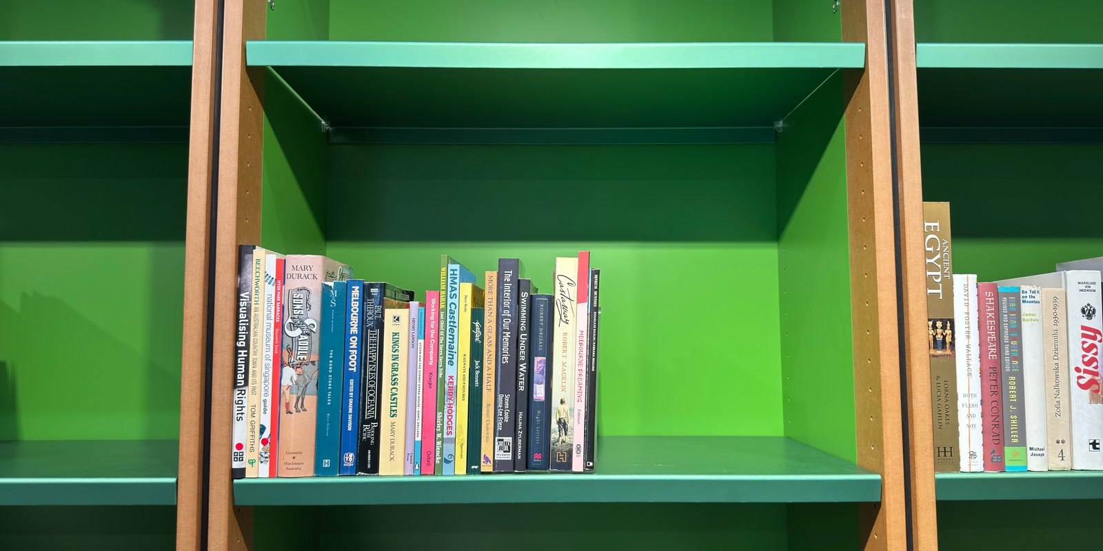 Shelfie Capture from Feb 19, 2026 3:21 PM