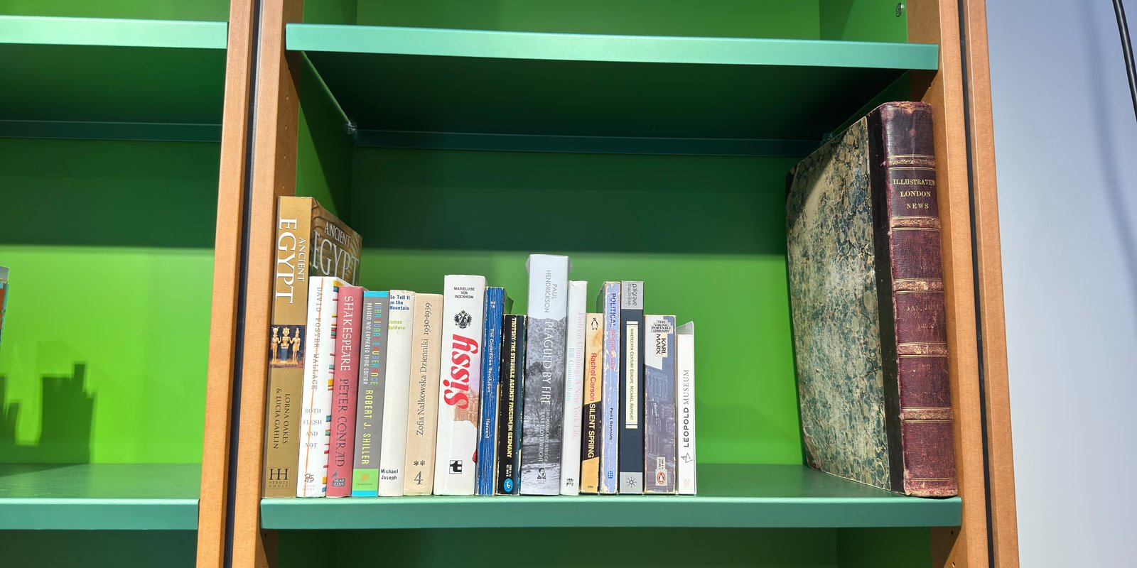 Shelfie Capture from Feb 19, 2026 2:58 PM