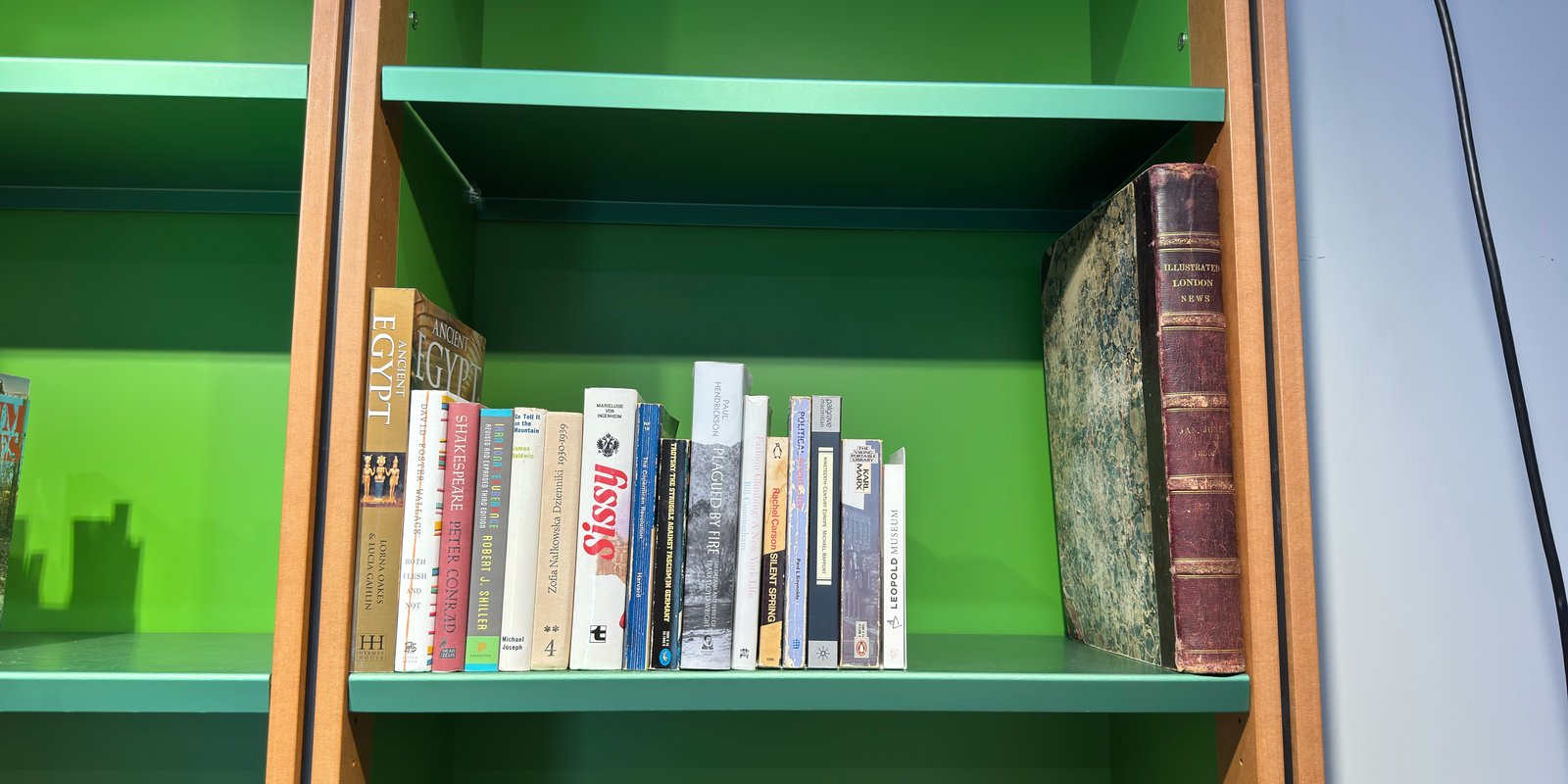 Shelfie Capture from Feb 19, 2026 3:22 PM