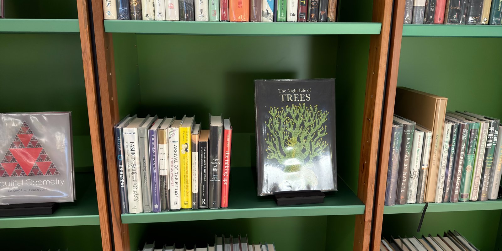Shelfie Capture from May 11, 2026 11:48 AM