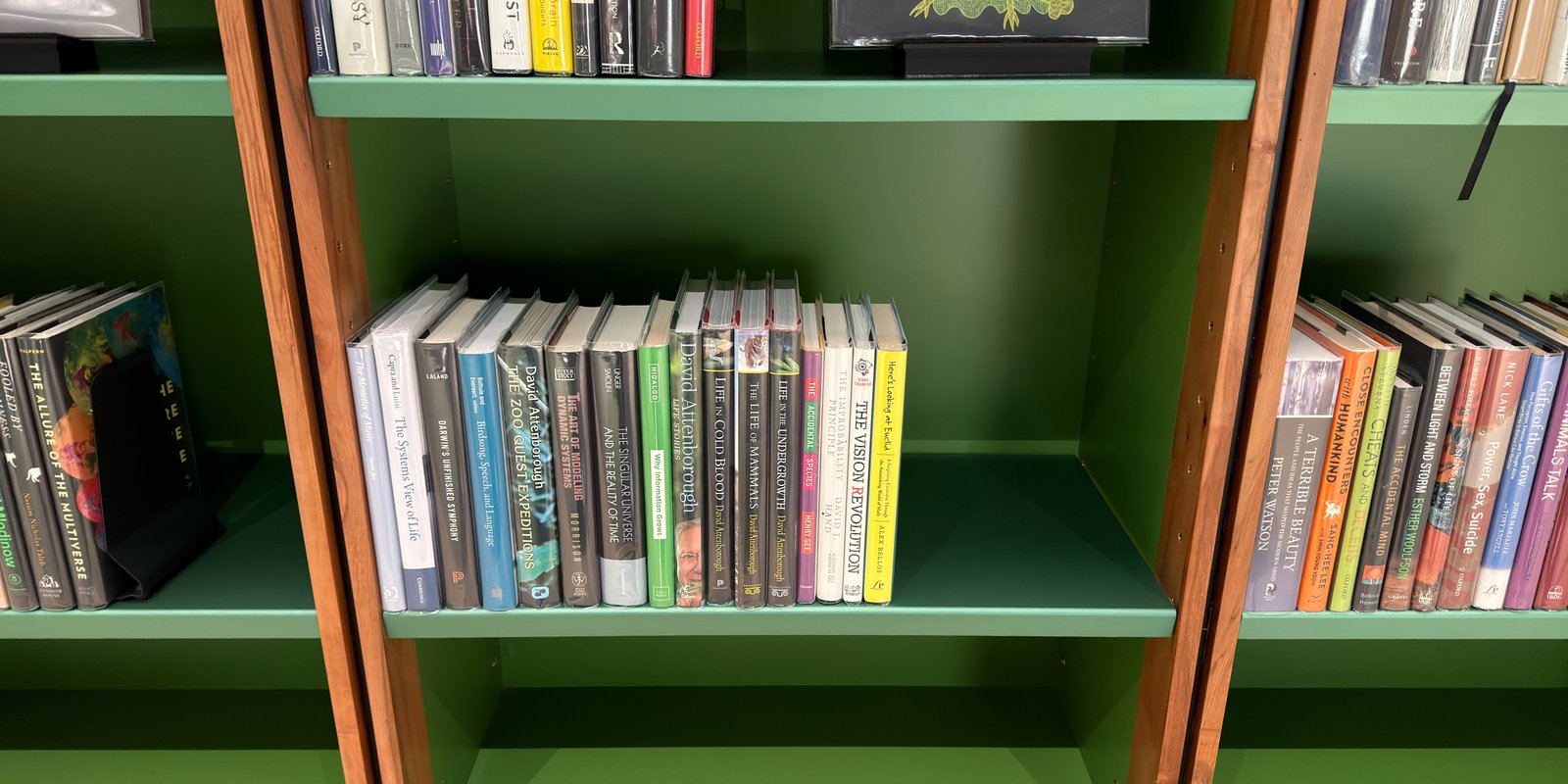 Shelfie Capture from May 11, 2026 11:48 AM