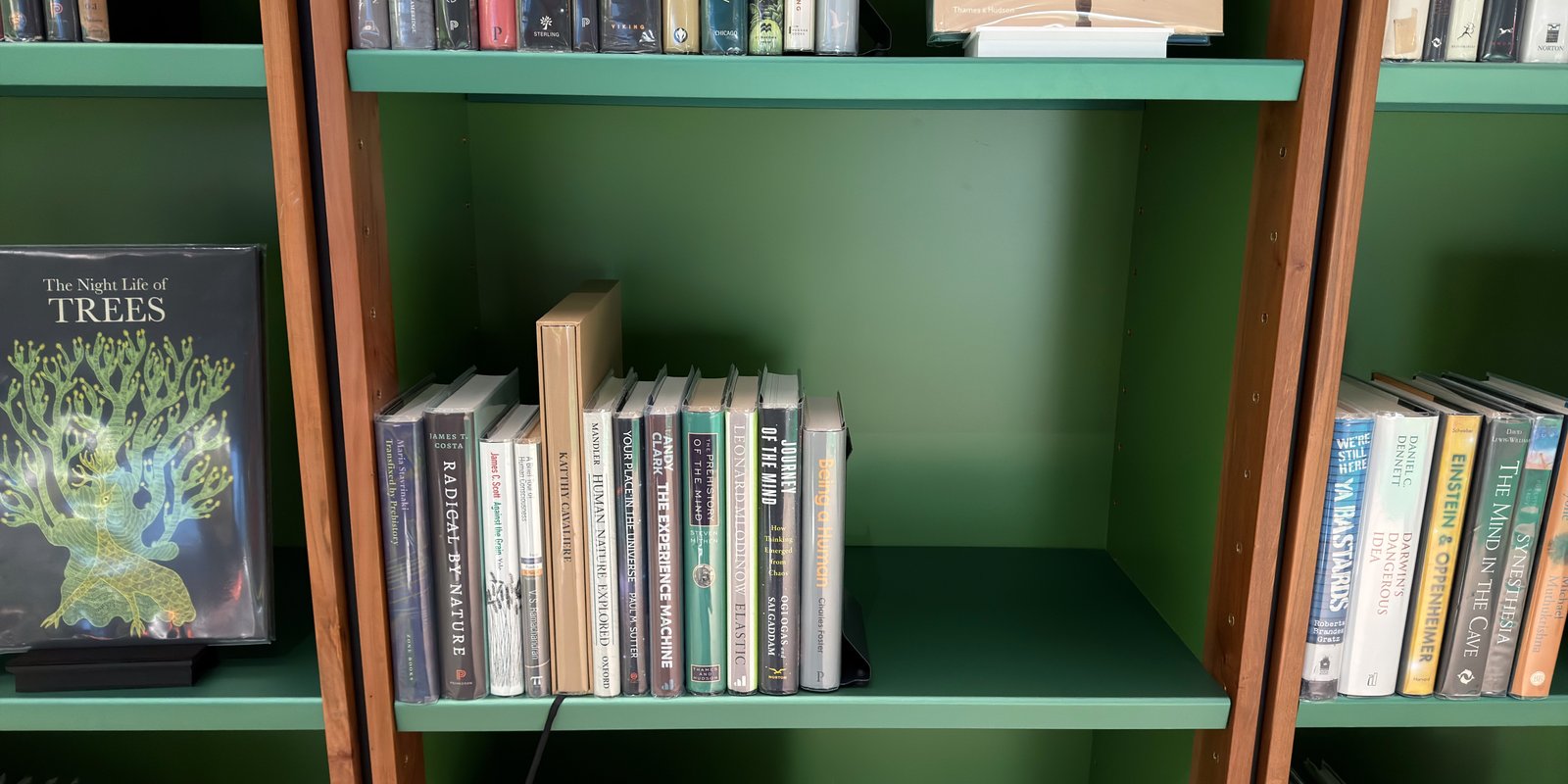 Shelfie Capture from May 11, 2026 11:48 AM
