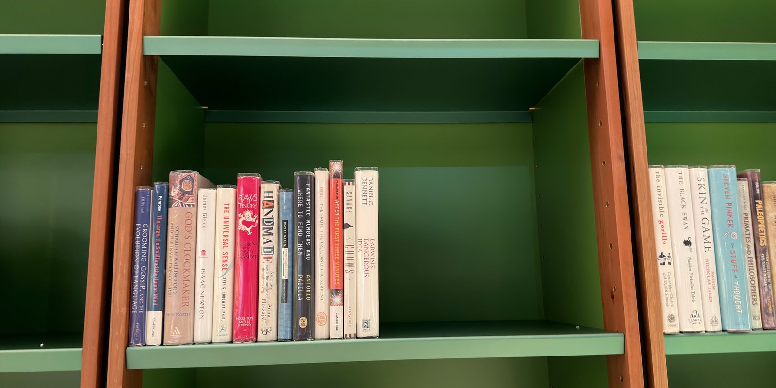 Shelfie Capture from May 11, 2026 2:31 PM