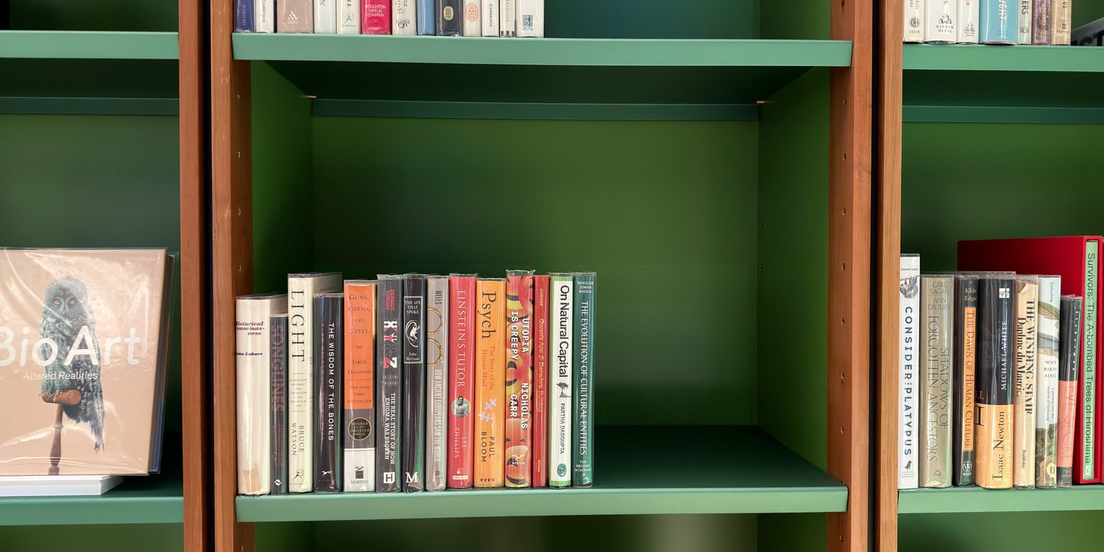 Shelfie Capture from May 11, 2026 2:32 PM