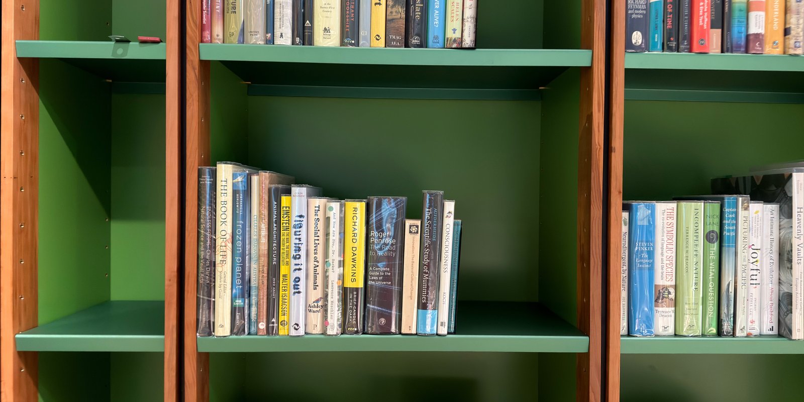 Shelfie Capture from May 12, 2026 10:55 AM