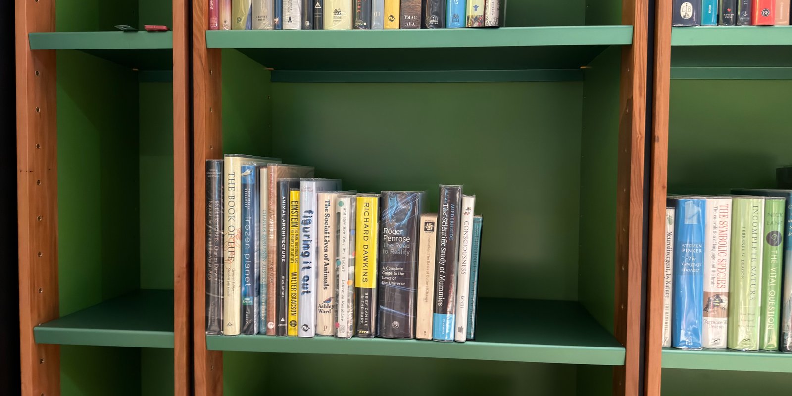 Shelfie Capture from May 14, 2026 3:02 PM