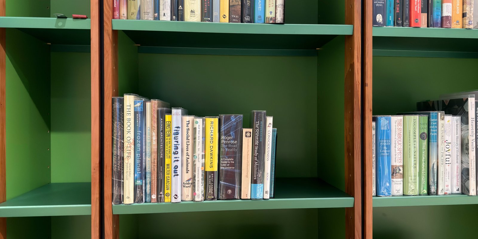 Shelfie Capture from May 12, 2026 12:52 PM