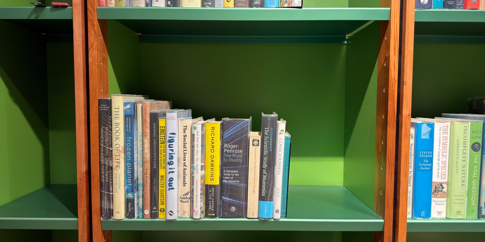 Shelfie Capture from May 12, 2026 4:46 PM