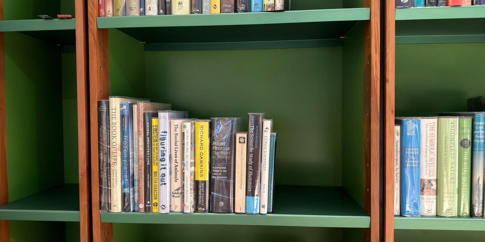 Shelfie Capture from May 14, 2026 3:09 PM