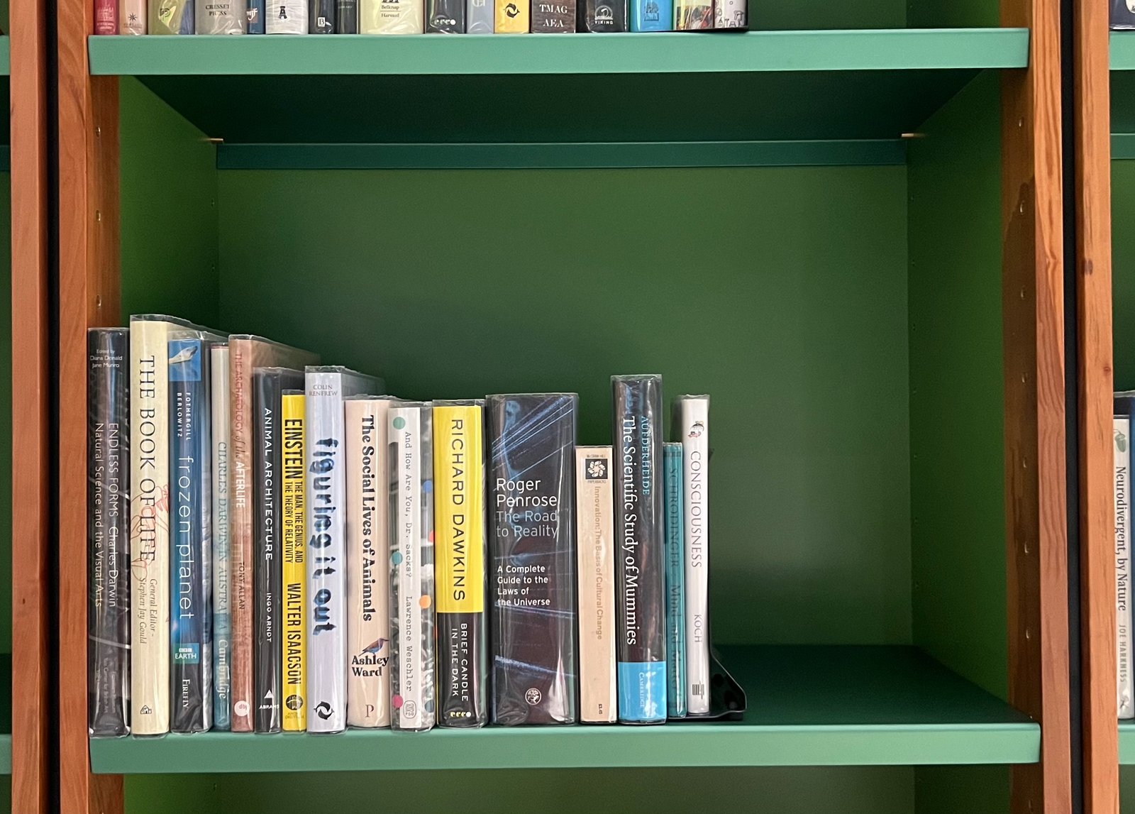 Shelfie Capture from May 18, 2026 10:26 AM