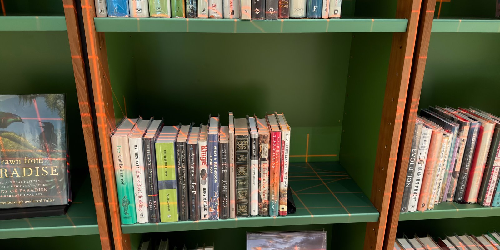 Shelfie Capture from May 12, 2026 10:55 AM