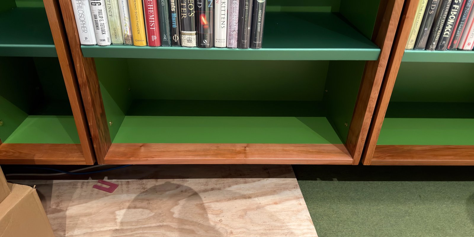 Shelfie Capture from May 14, 2026 12:19 PM