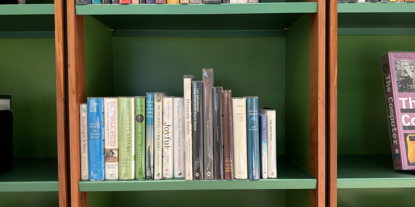 Shelfie Capture from May 14, 2026 12:59 PM