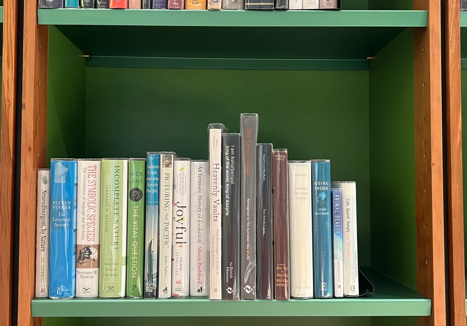 Shelfie Capture from May 18, 2026 10:28 AM