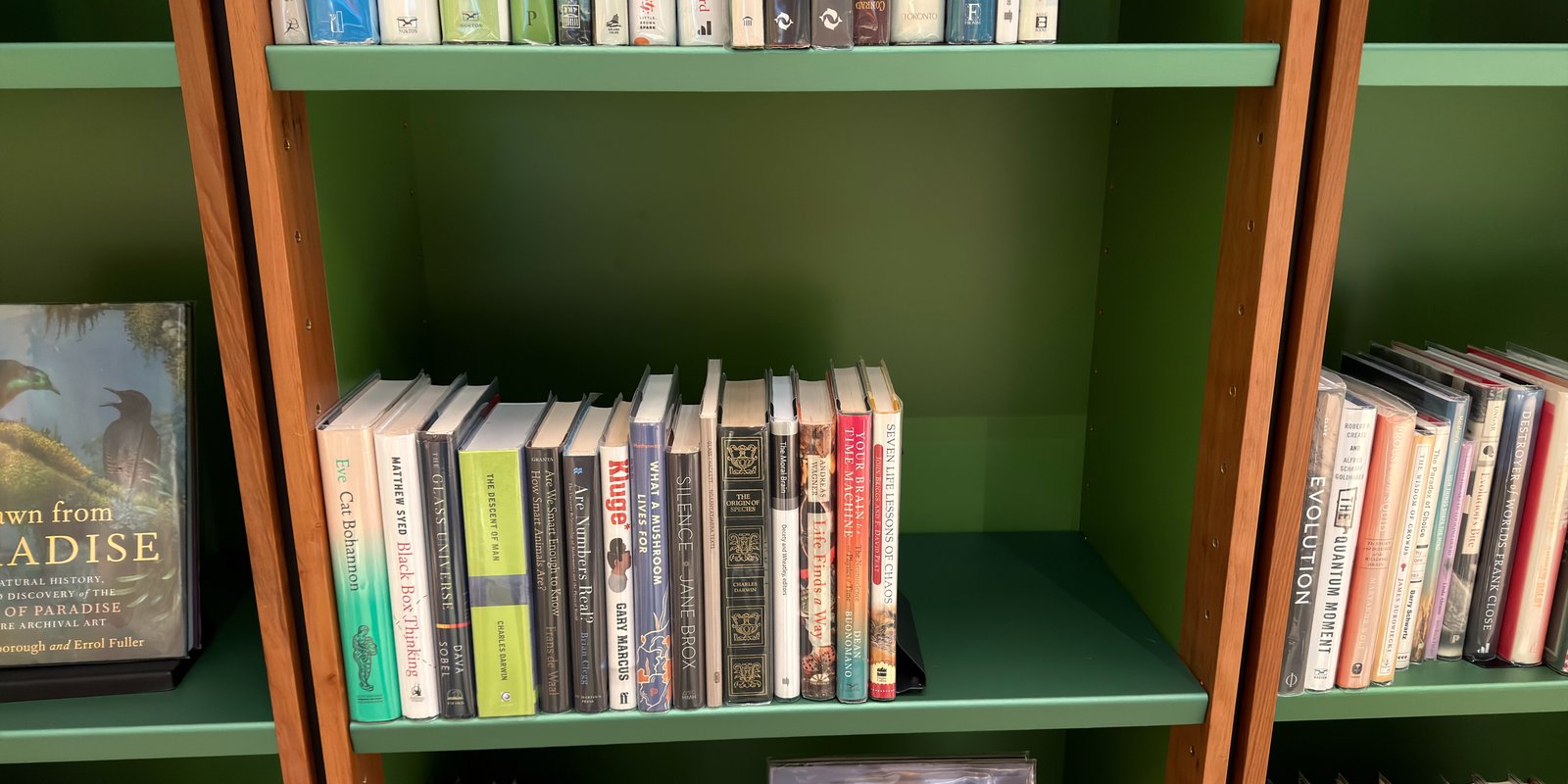 Shelfie Capture from May 12, 2026 12:53 PM