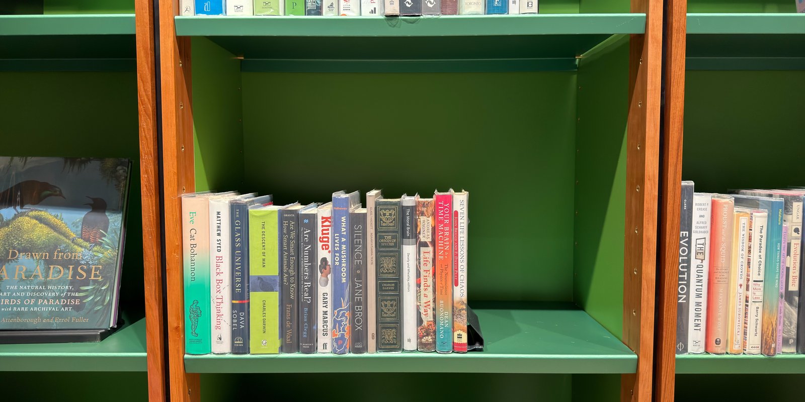 Shelfie Capture from May 12, 2026 4:47 PM