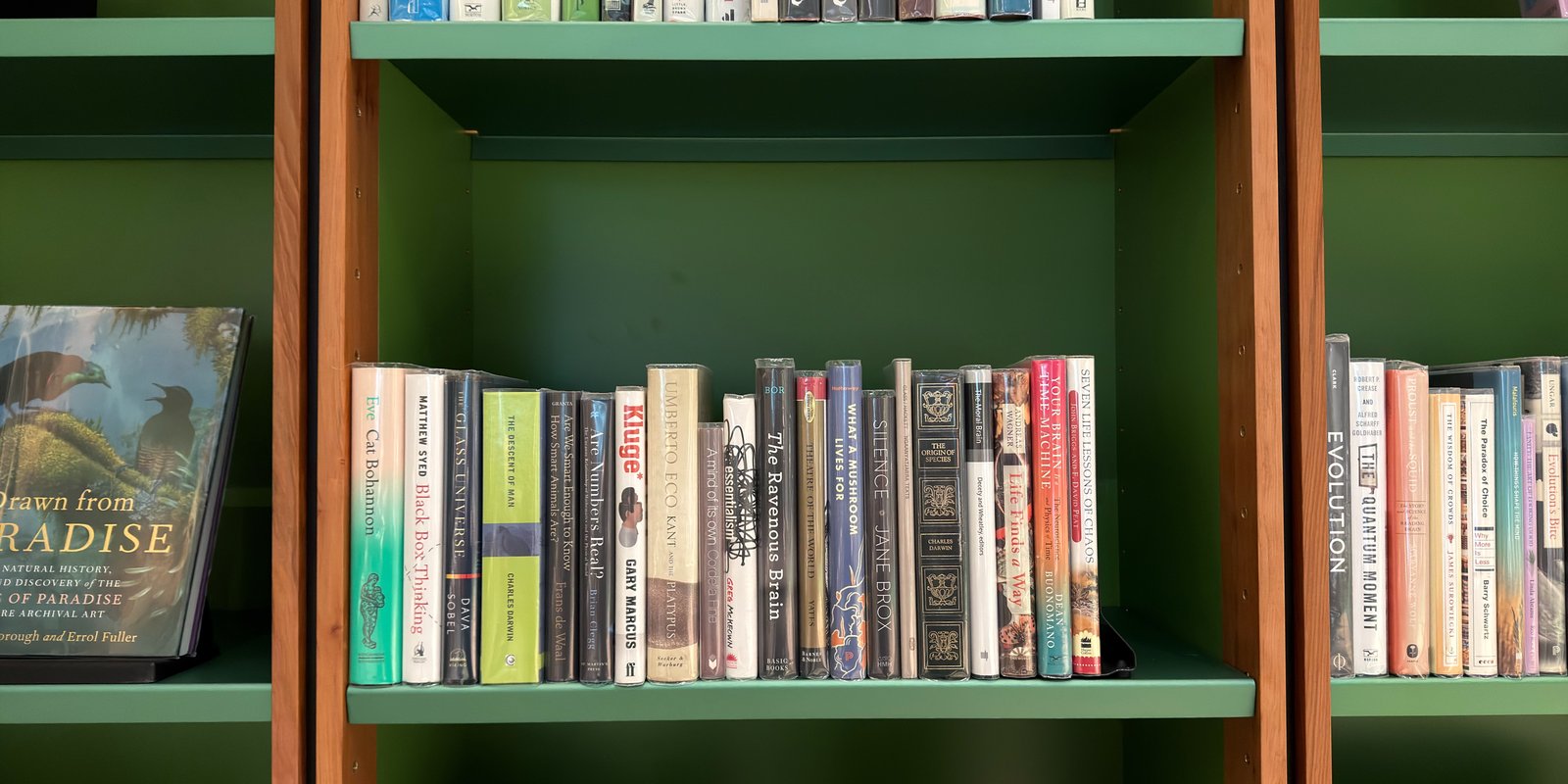 Shelfie Capture from May 14, 2026 12:59 PM
