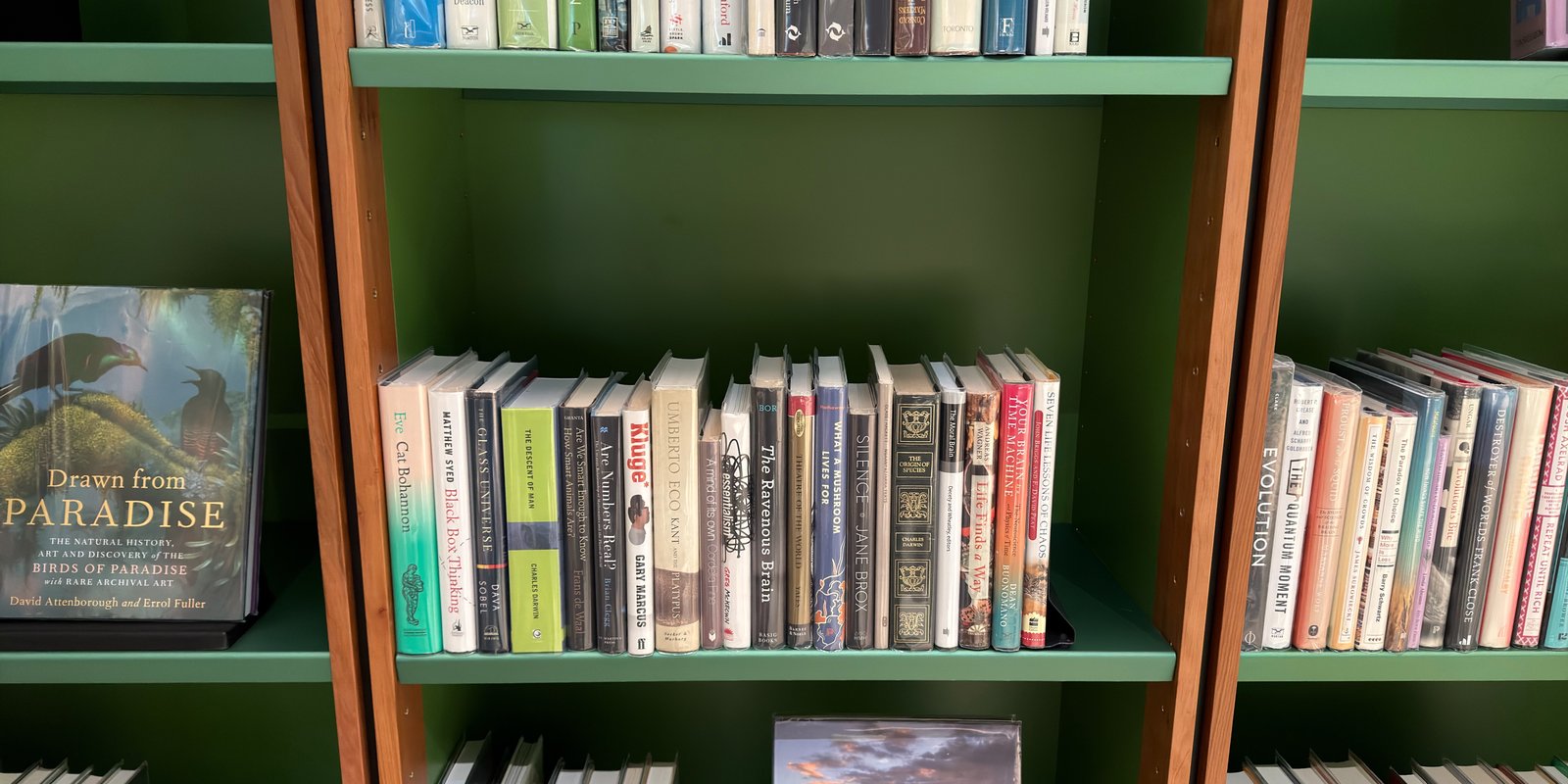 Shelfie Capture from May 14, 2026 3:03 PM