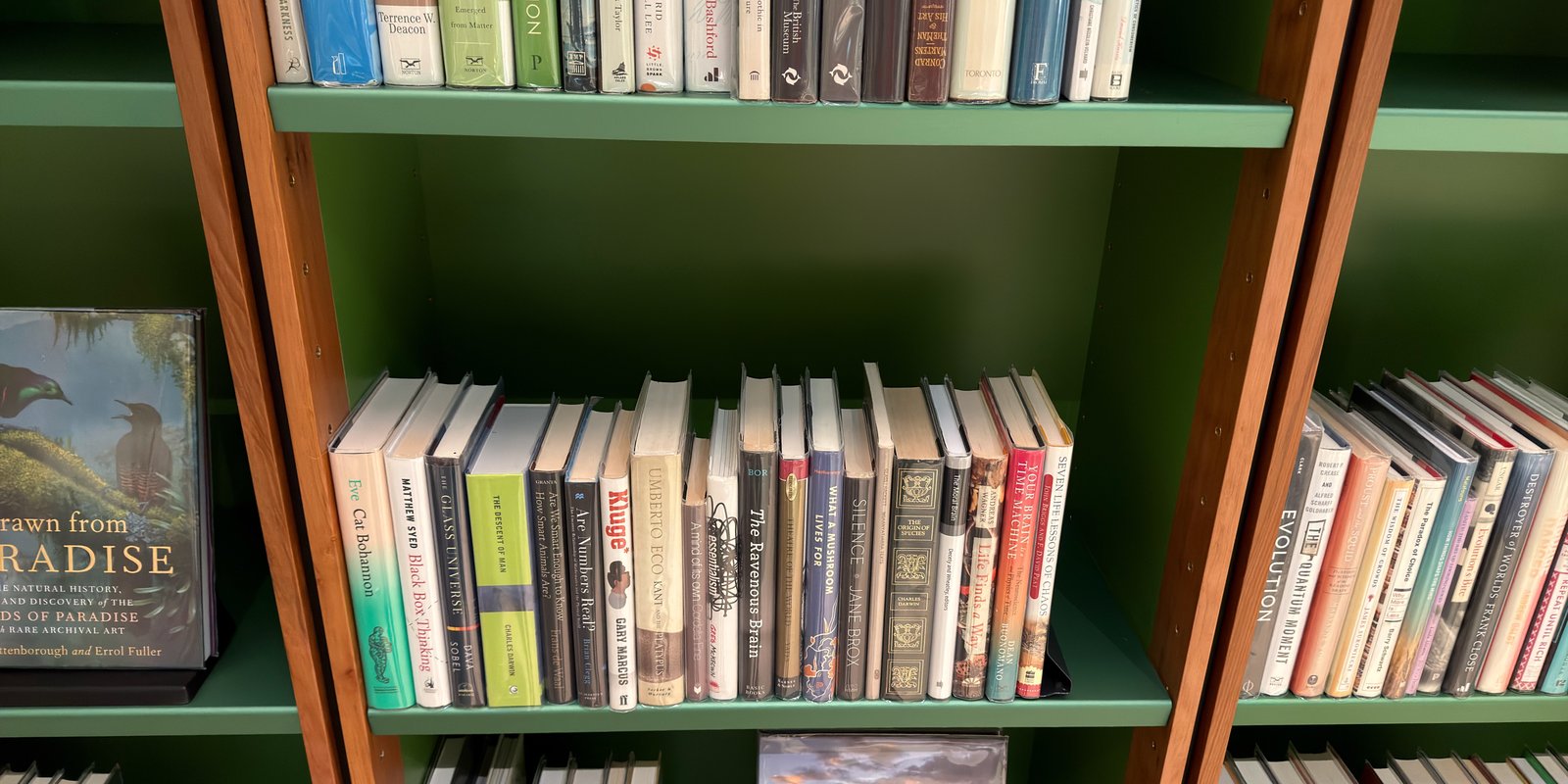 Shelfie Capture from May 14, 2026 3:09 PM