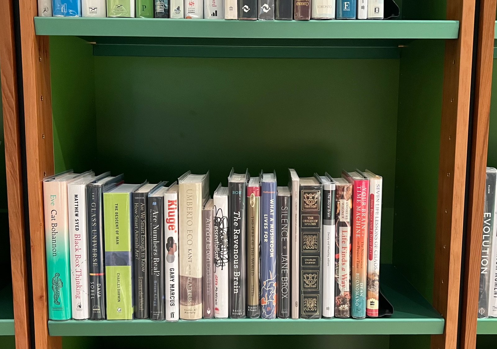 Shelfie Capture from May 18, 2026 10:28 AM