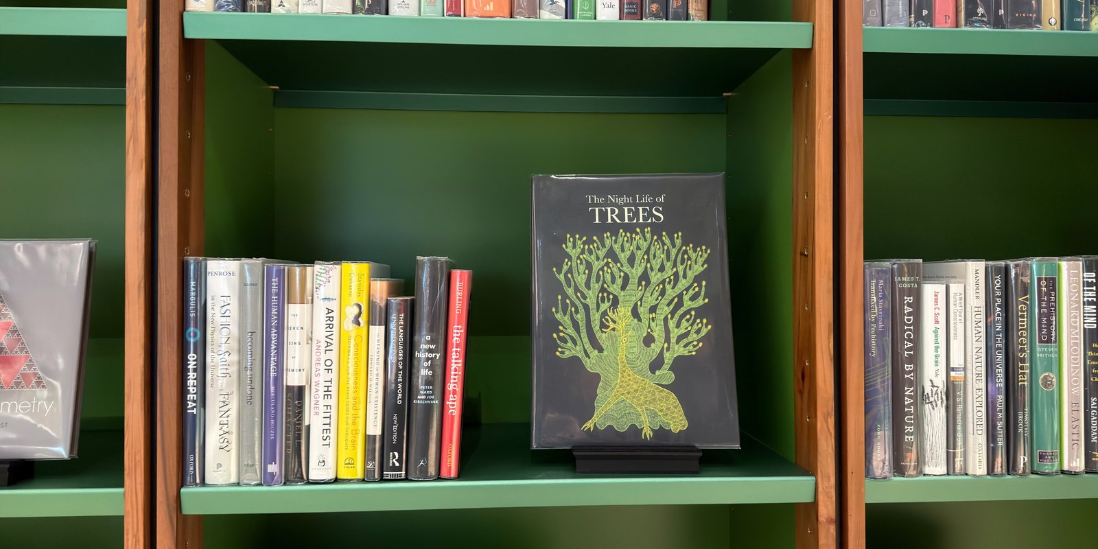 Shelfie Capture from May 14, 2026 1:01 PM