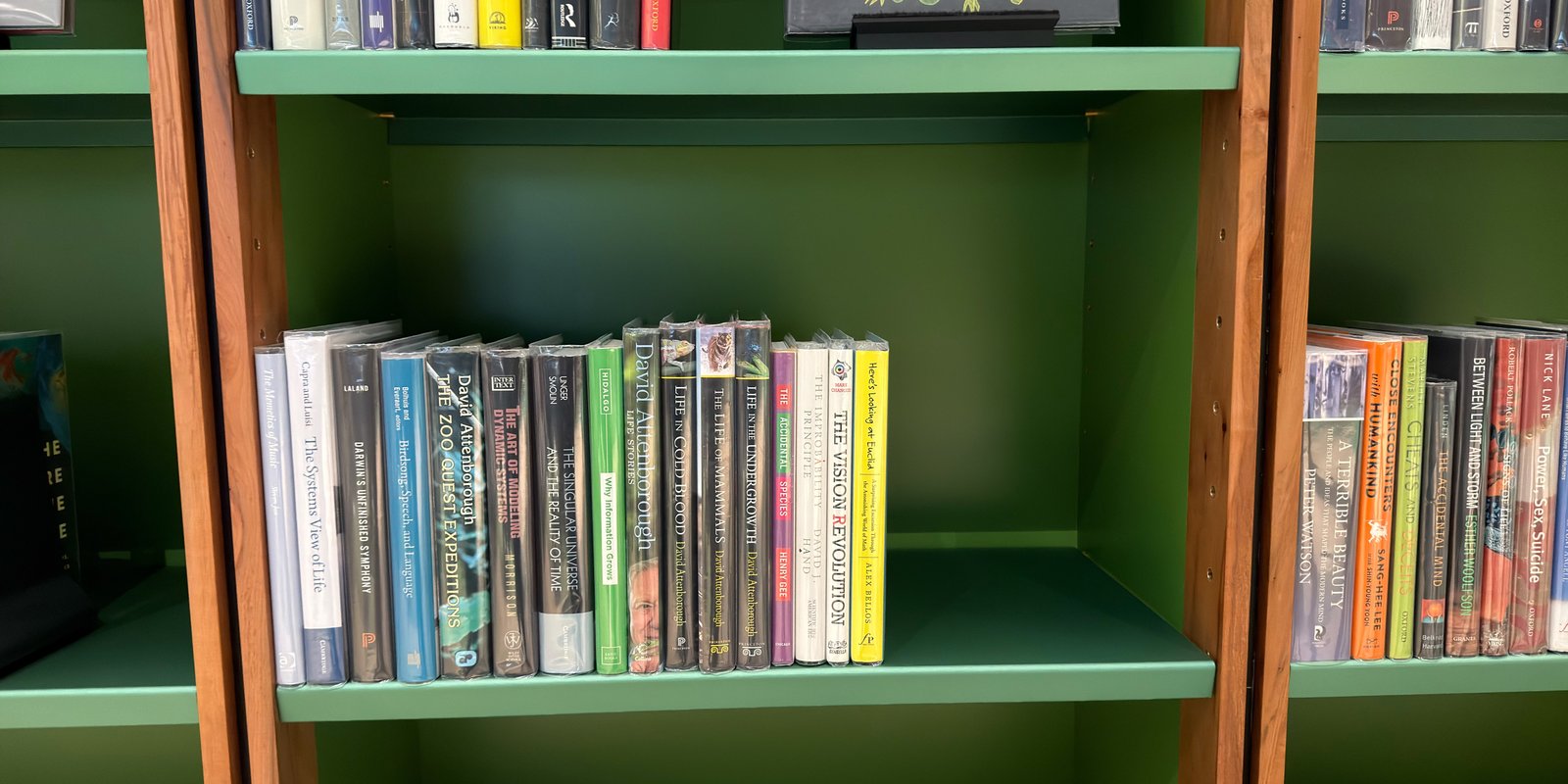 Shelfie Capture from May 14, 2026 1:01 PM